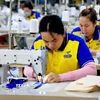 Sản xuất hàng dệt may xuất khẩu. (Ảnh: Hồng Đạt/TTXVN)
