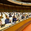 Đại biểu Quốc hội biểu quyết thông qua các luật, nghị quyết. (Ảnh: Doãn Tấn/TTXVN)