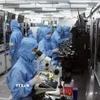 Dây chuyền sản xuất module camera và linh kiện điện tử xuất khẩu tại nhà máy của Công ty trách nhiệm hữu hạn MCNEX VINA (100% vốn Hàn Quốc), khu công nghiệp Phúc Sơn, tỉnh Ninh Bình. (Ảnh: Vũ Sinh/TTXVN)