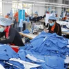 May hàng xuất khẩu sang thị trường Nhật Bản tại Công ty may Hưng Việt (Phố Nối, Hưng Yên). (Ảnh: Trần Việt/TTXVN)