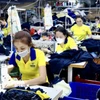 Công nhân may đồng phục xuất khẩu tại Công ty Cổ phần quốc tế Dony. (Ảnh: Xuân Anh/TTXVN)