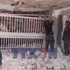 Đoàn Việt Nam nỗ lực triển khai tìm kiếm cứu nạn tại Venezuela 