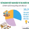 Đầu tư của Việt Nam ra nước ngoài 2 tháng năm 2026 tăng gấp 2,3 lần 