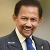 Quốc vương Brunei Darussalam Haji Hassanal Bolkiah. (Ảnh: TTXVN phát)