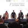 Doanh nghiệp Việt Nam-Tây Ban Nha chia sẻ cơ hội hợp tác tại Diễn đàn. (Ảnh: Xuân Anh/TTXVN)