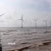 Một trong những dự án điện gió nằm trong Khu kinh tế Định An đã đi vào hoạt động. (Ảnh: Phúc Sơn/TTXVN)