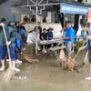 Dọn dẹp vệ sinh tại các điểm tiếp nhận người sơ tán tránh lũ tại Trường Trung học Cơ sở Pắc Ta, xã Pắc Ta. (Ảnh: Nguyễn Oanh/TTXVN)