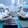 Lắp ráp linh kiện điện tử. (Ảnh: Danh Lam/TTXVN)