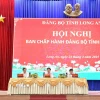 Ban Chấp hành Đảng bộ tỉnh Long An khóa XI tổ chức hội nghị thông qua dự thảo Đề án sắp xếp, tổ chức lại đơn vị hành chính cấp xã và Đề án hợp nhất đơn vị hành chính tỉnh Tây Ninh và tỉnh Long An. (Ảnh: TTXVN phát)