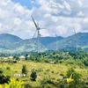 Theo Quy hoạch điện 8 phân bổ công suất điện gió cho tỉnh Quảng Trị đến năm 2030 là 1.800MW và Quy hoạch điện 8 điều chỉnh công suất tăng thêm 560MW. (Ảnh: Nguyên Linh/TTXVN)
