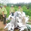 Lực lượng kiểm lâm Hạt Kiểm lâm Quỳnh Lưu-Hoàng Mai đốt, tiêu hủy lưới bẫy và chim giả bằng xốp. (Ảnh: TTXVN phát)