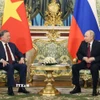 Tổng Bí thư Tô Lâm hội đàm hẹp với Tổng thống Nga Vladimir Putin. (Ảnh: Thống Nhất/TTXVN)