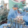 Êkíp bệnh viện Trung ương Huế hiện ghép tim cho bệnh nhân. (Ảnh: TTXVN phát)