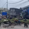 Vụ tại nạn giao thông nghiêm trọng xảy ra tại chợ Tân Long, thuộc thôn Long Hợp, xã Lao Bảo, tỉnh Quảng Trị khi một xe ôtô lao thẳng vào chợ chuối đông người khiến 3 người chết, nhiều người bị thương nặng. (Ảnh: TTXVN phát)