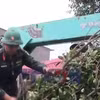 Dông lốc làm đổ ngã nhiều cây xanh và sập nhà ở Đồng Tháp