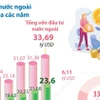 Tổng vốn đầu tư nước ngoài đăng ký vào Việt Nam 11 tháng qua tăng 7,4% 