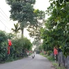 "Đường cờ thông minh" ở Thôn 3 Lộc Ngãi (xã Bảo Lâm 1, tỉnh Lâm Đồng). (Ảnh: Chu Quốc Hùng/TTXVN)