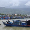 Tàu thuyền neo đậu tại âu thuyền Thọ Quang (phường Sơn Trà, thành phố Đà Nẵng) (Ảnh: Khoa Chương/TTXVN)