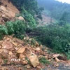 Hàng trăm khối đất đá và cây cối sạt lở tại Km 24 trên quốc lộ 70, đoạn qua xã Văn Lang, tỉnh Phú Thọ, gây cản trở giao thông. (Ảnh: TTXXN phát)