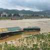 Nước lũ dâng cao làm ngập sâu khu vực bãi bồi ven sông. (Ảnh: Hương Thu/TTXVN)