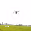 Drone thực hiện thao tác phun phân bón trên đồng ruộng. (Ảnh: Thu Hiền/TTXVN)