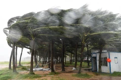 Bão Yagi đã gây hậu quả nặng nề khi đổ bộ vào Philippines, sau đó ảnh hưởng đến miền Bắc Việt Nam, Trung Quốc và Myanmar vào tháng 9/2024. (Ảnh: THX/TTXVN)