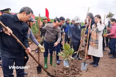 Bộ trưởng Bộ Tài nguyên và Môi trường Đỗ Đức Duy cùng lãnh đạo Ủy ban Nhân dân tỉnh Thái Bình và các đại biểu trồng cây tại Khu Bảo tồn thiên nhiên đất ngập nước Thái Thụy. (Ảnh: Hùng Võ/Vietnam+)