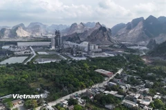 Hoạt động khai thác khoáng sản, sản xuất ximăng tại tỉnh Hà Nam, nay là tỉnh Ninh Bình. (Ảnh: Hoài Nam/Vietnam+)