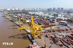 Hoạt động bốc xếp container tại Cảng Tân Thuận-Công ty Cổ phần Cảng Sài Gòn. (Ảnh: Quốc Khánh/TTXVN)