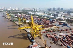 Hoạt động bốc xếp container tại Cảng Tân Thuận-Công ty Cổ phần Cảng Sài Gòn. (Ảnh: Quốc Khánh/TTXVN)