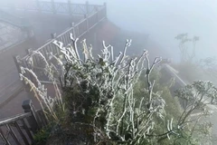 Vùng núi và trung du Bắc Bộ, từ ngày 22-23/1, có khả năng xảy ra rét đậm, có nơi rét hại. (Ảnh minh họa. Nguồn ảnh: TTXVN phát)