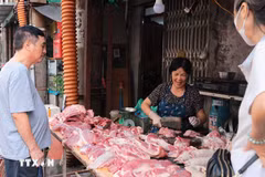 Một quầy thịt lợn trên phố Bạch Đằng (Hà Nội). (Ảnh minh họa: Hoàng Hiếu/TTXVN)