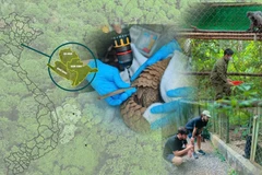 Sáp nhập tỉnh: Cơ hội tái thiết không gian bảo tồn, tăng trưởng xanh 