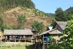 Ảnh chỉ có tính chất minh họa. (Nguồn: Vietnam+)