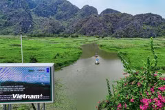 Bảo tồn thiên nhiên và đa dạng sinh học. (Ảnh: Hoài Nam/Vietnam+)