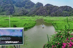 Bảo tồn thiên nhiên và đa dạng sinh học. (Ảnh: Hoài Nam/Vietnam+)