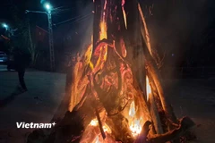 Đêm giao thừa - thời khắc chuyển giao năm cũ đón năm mới Bính Ngọ 2026, không khí đón Tết ở vùng quê xứ Nghệ đâu đâu cũng rộn ràng, bừng sáng. (Ảnh: Hùng Võ/Vietnam+)