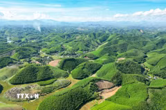 Bảo vệ môi trường, ứng phó với biến đổi khí hậu và bảo tồn đa dạng sinh học là yêu cầu gắn liền với phát triển kinh tế – xã hội, không thể tách rời hay xem nhẹ. (Ảnh: Lê Đông/TTXVN)