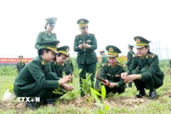 Nữ cán bộ, chiến sĩ Bộ đội Biên phòng tỉnh Quảng Trị hưởng ứng Tết trồng cây Xuân Bính Ngọ năm 2026. (Ảnh: Võ Dung/TTXVN)