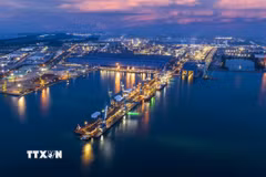 Cảng tổng hợp Công ty cổ phần Hòa Phát Dung Quất nằm trong khu kinh tế Dung Quất. (Ảnh: TTXVN phát)