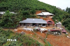 11 địa phương dự kiến công bố hoàn thành 100% xóa nhà tạm, nhà dột nát trước ngày 20/8/2025. (Nguồn ảnh: TTXVN)