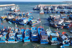 Phát triển kinh tế biển xanh bền vững. (Ảnh: Hoài Nam/Vietnam+)