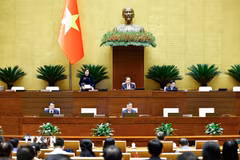 Quang cảnh phiên họp. (Ảnh: Doãn Tấn/TTXVN)