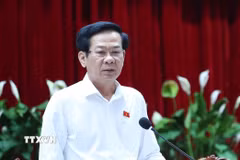 Ông Đỗ Thanh Bình. (Nguồn ảnh: TTXVN)
