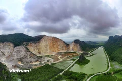 Cần ưu tiên loại bỏ các khu vực khai thác ảnh hưởng đến sinh cảnh loài nguy cấp. (Ảnh: Hoài Nam/Vietnam+)