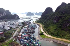 Tàu cá của ngư dân tránh trú bão tại khu vực cảng Cái Rồng, Đặc khu Vân Đồn, tỉnh Quảng Ninh.( Ảnh: TTXVN phát)