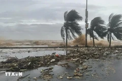 Sáng sớm ngày 10/11, bão Fung-Wong đã đi vào vùng biển phía Đông khu vực Bắc Biển Đông, trở thành cơn bão số 14 trong năm 2025. (Nguồn ảnh: TTXVN)