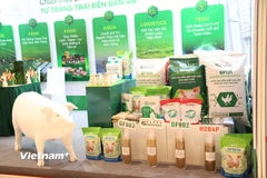 Việt Nam hiện đang nằm trong nhóm các quốc gia chăn nuôi hàng đầu thế giới; trong đó đàn lợn đứng thứ 5, đàn gia cầm đứng thứ 9. (Ảnh: Phương Nguyễn/Vietnam+)