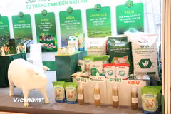 Việt Nam hiện đang nằm trong nhóm các quốc gia chăn nuôi hàng đầu thế giới; trong đó đàn lợn đứng thứ 5, đàn gia cầm đứng thứ 9. (Ảnh: Phương Nguyễn/Vietnam+)