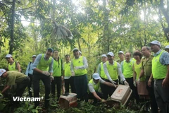 Bảo vệ “kho báu” đa dạng sinh học: Việt Nam cần kiểm soát chặt các tác động 